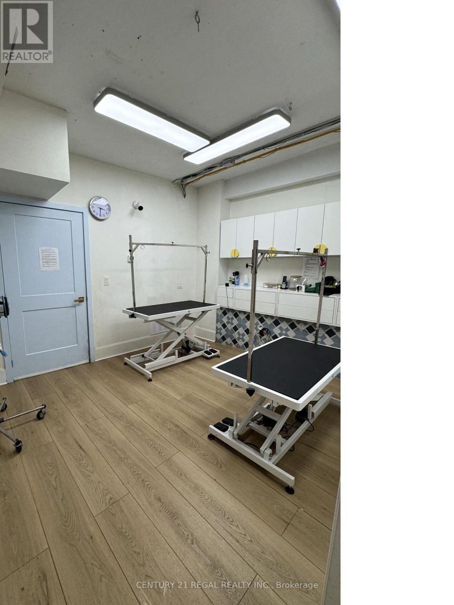801 Dundas Street W, Toronto, Ontario  M6J 1V2 - Photo 15 - C12040568