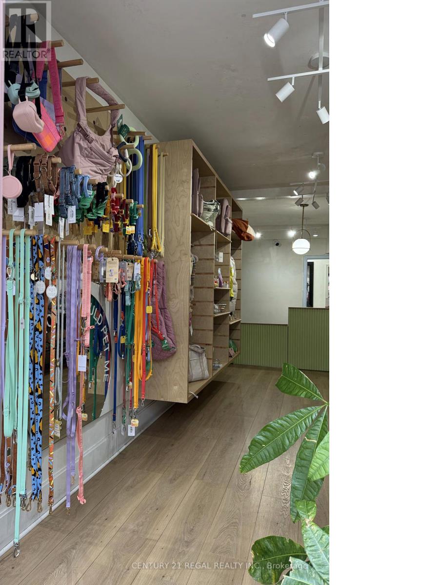 801 Dundas Street W, Toronto, Ontario  M6J 1V2 - Photo 6 - C12040568