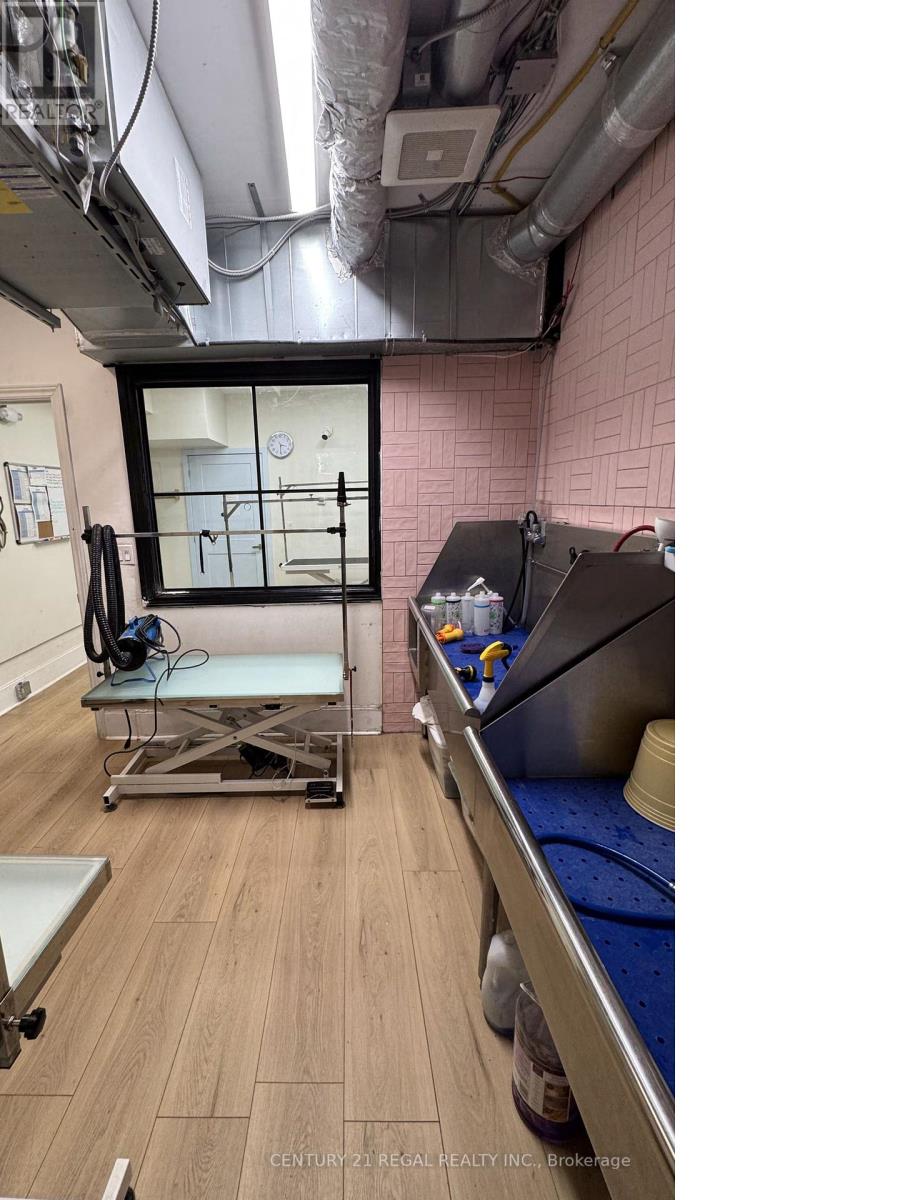 801 Dundas Street W, Toronto, Ontario  M6J 1V2 - Photo 16 - C12040628