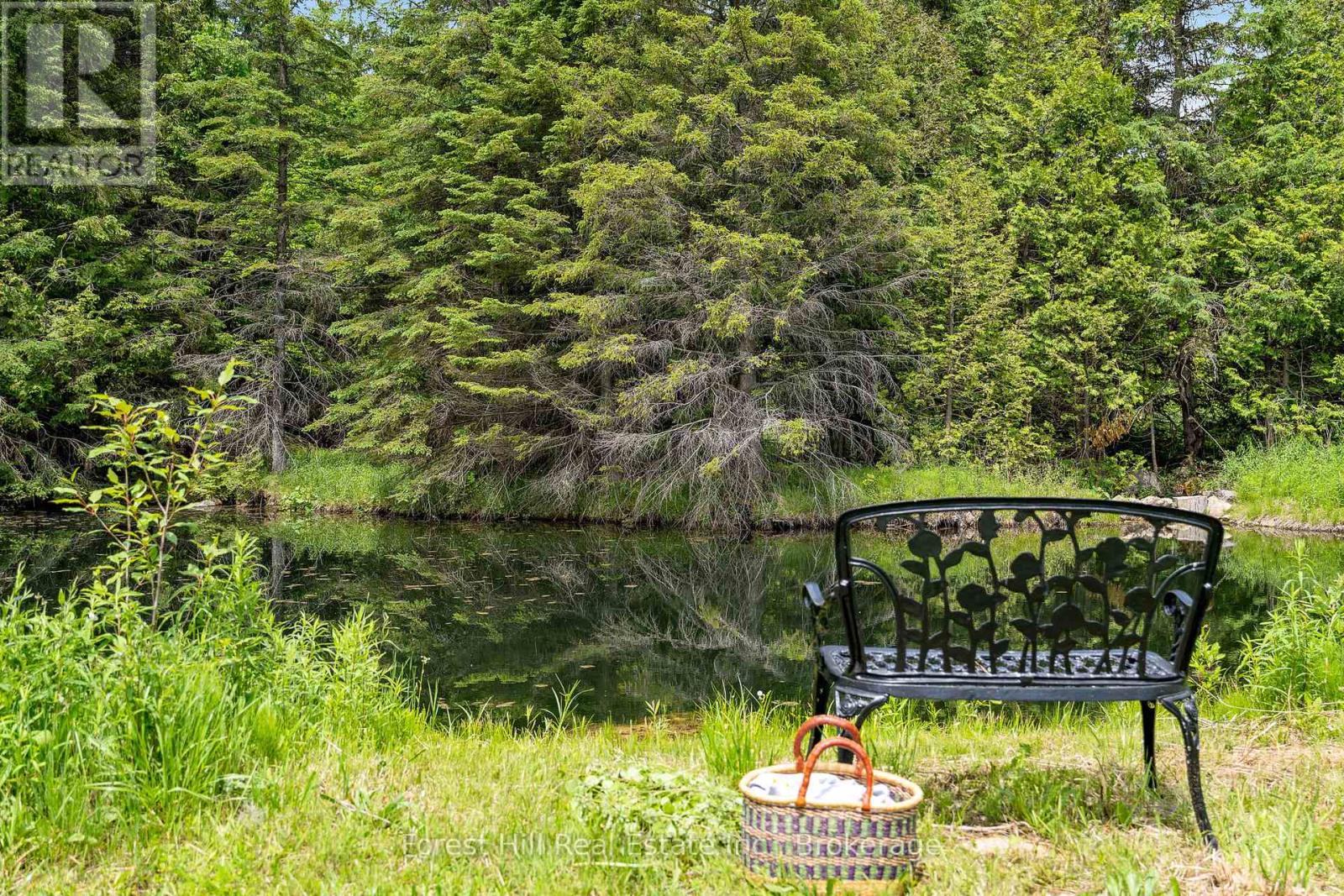 555262 6th Line, Blue Mountains, Ontario  N0H 2E0 - Photo 34 - X11997631