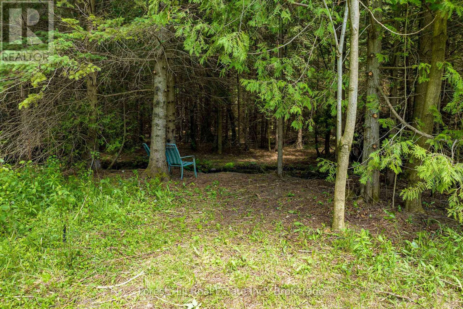 555262 6th Line, Blue Mountains, Ontario  N0H 2E0 - Photo 36 - X11997631