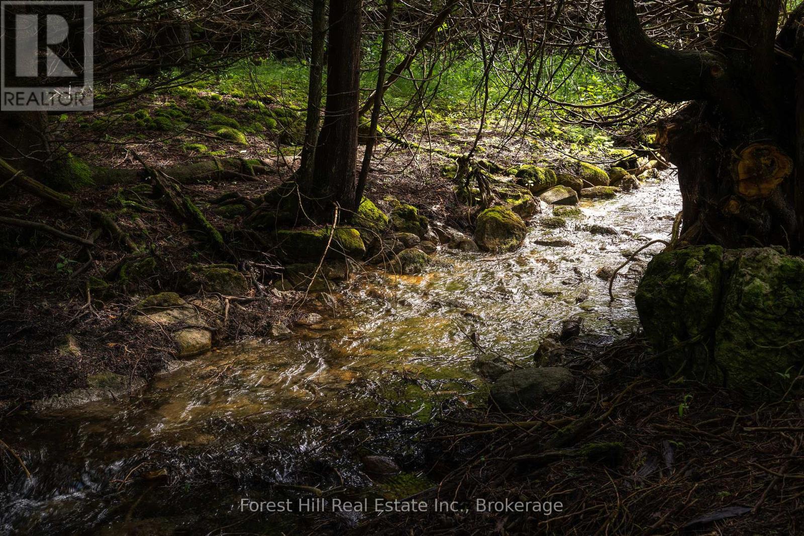 555262 6th Line, Blue Mountains, Ontario  N0H 2E0 - Photo 38 - X11997631
