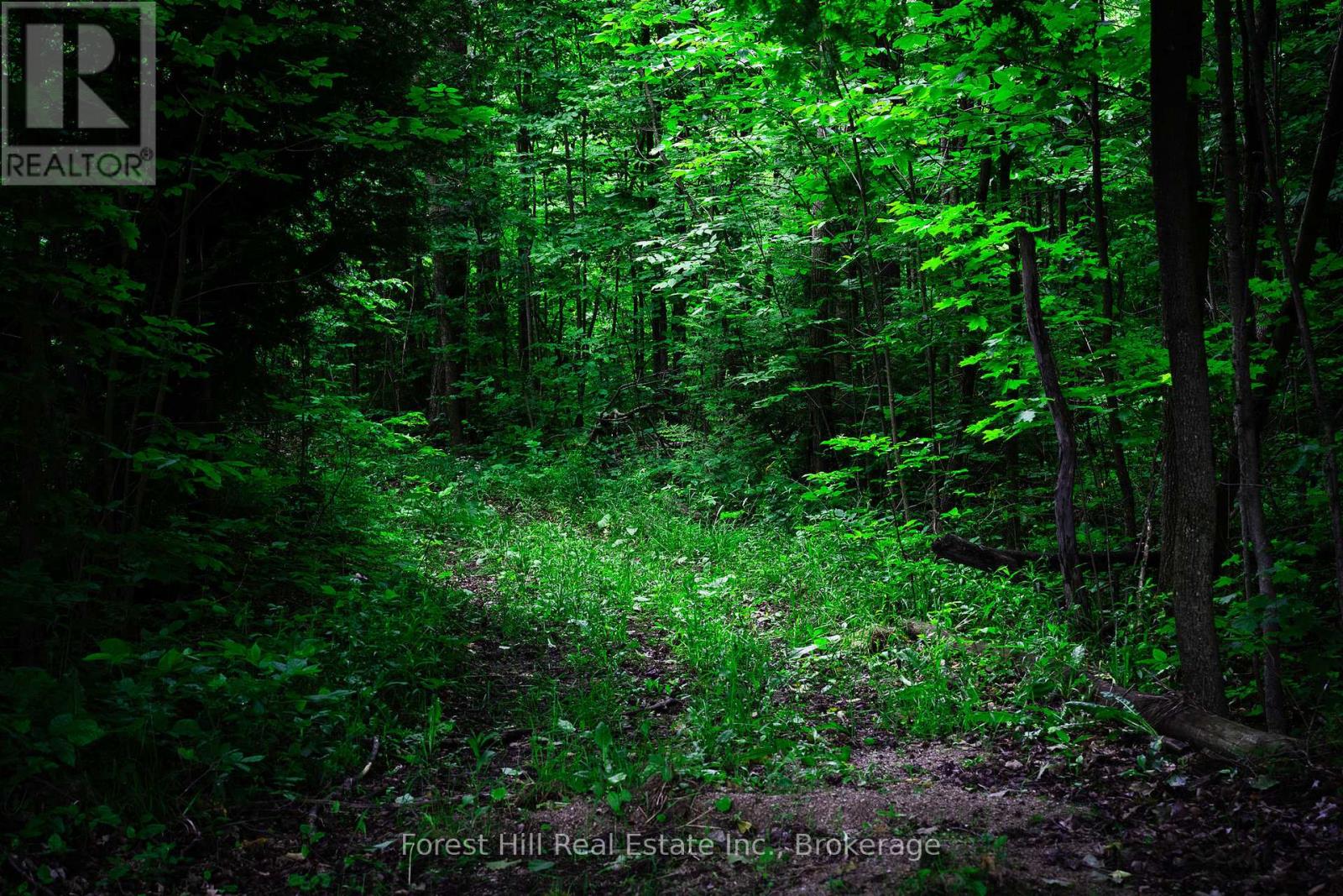 555262 6th Line, Blue Mountains, Ontario  N0H 2E0 - Photo 39 - X11997631