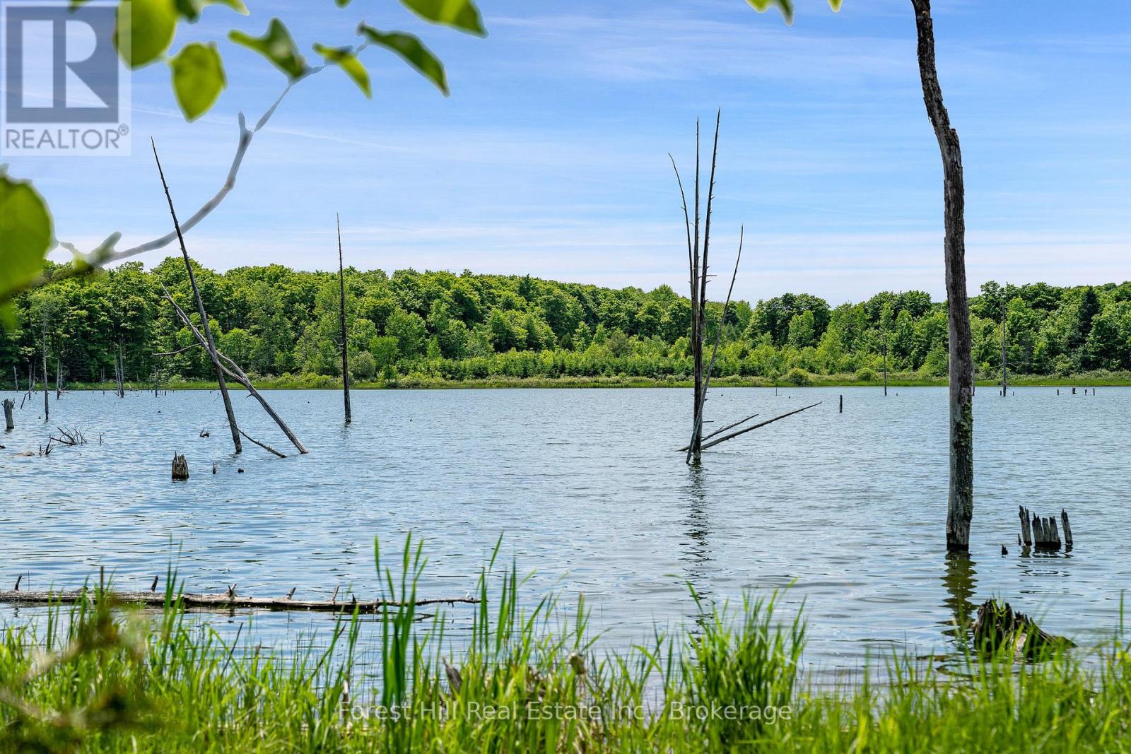 555262 6th Line, Blue Mountains, Ontario  N0H 2E0 - Photo 40 - X11997631