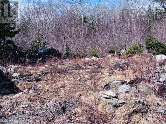 8494 Highway 3, Port Mouton, Nova Scotia  B0T 1T0 - Photo 6 - 202505778