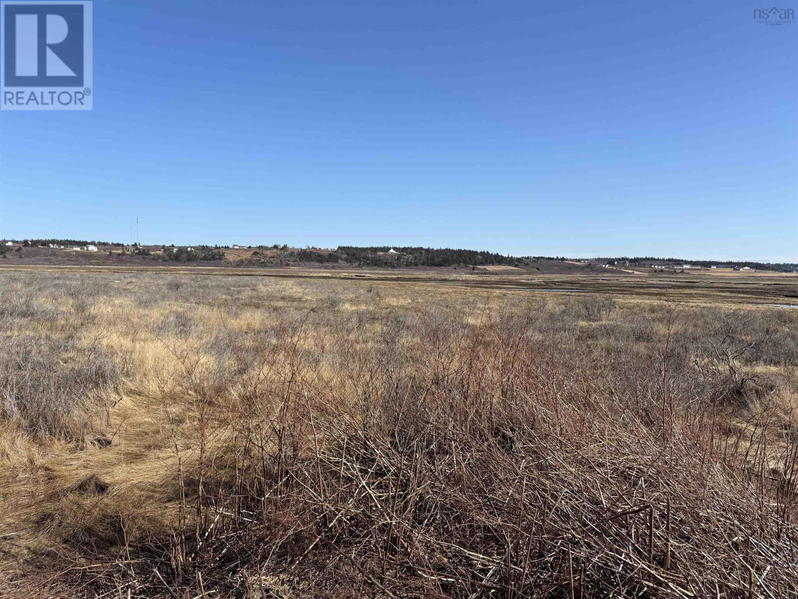 2 Acre Lot Cape Saint Marys Road, Cape St Marys, Nova Scotia  B5A 5B4 - Photo 22 - 202505478