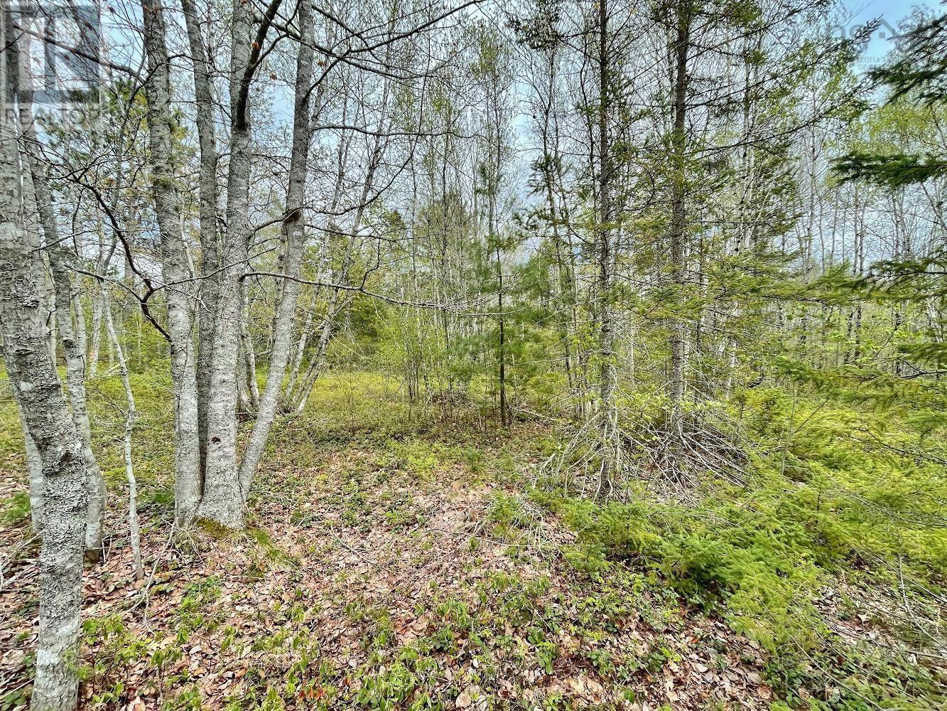 Lot Highway 201, South Farmington, Nova Scotia  B0P 1W0 - Photo 5 - 202505728
