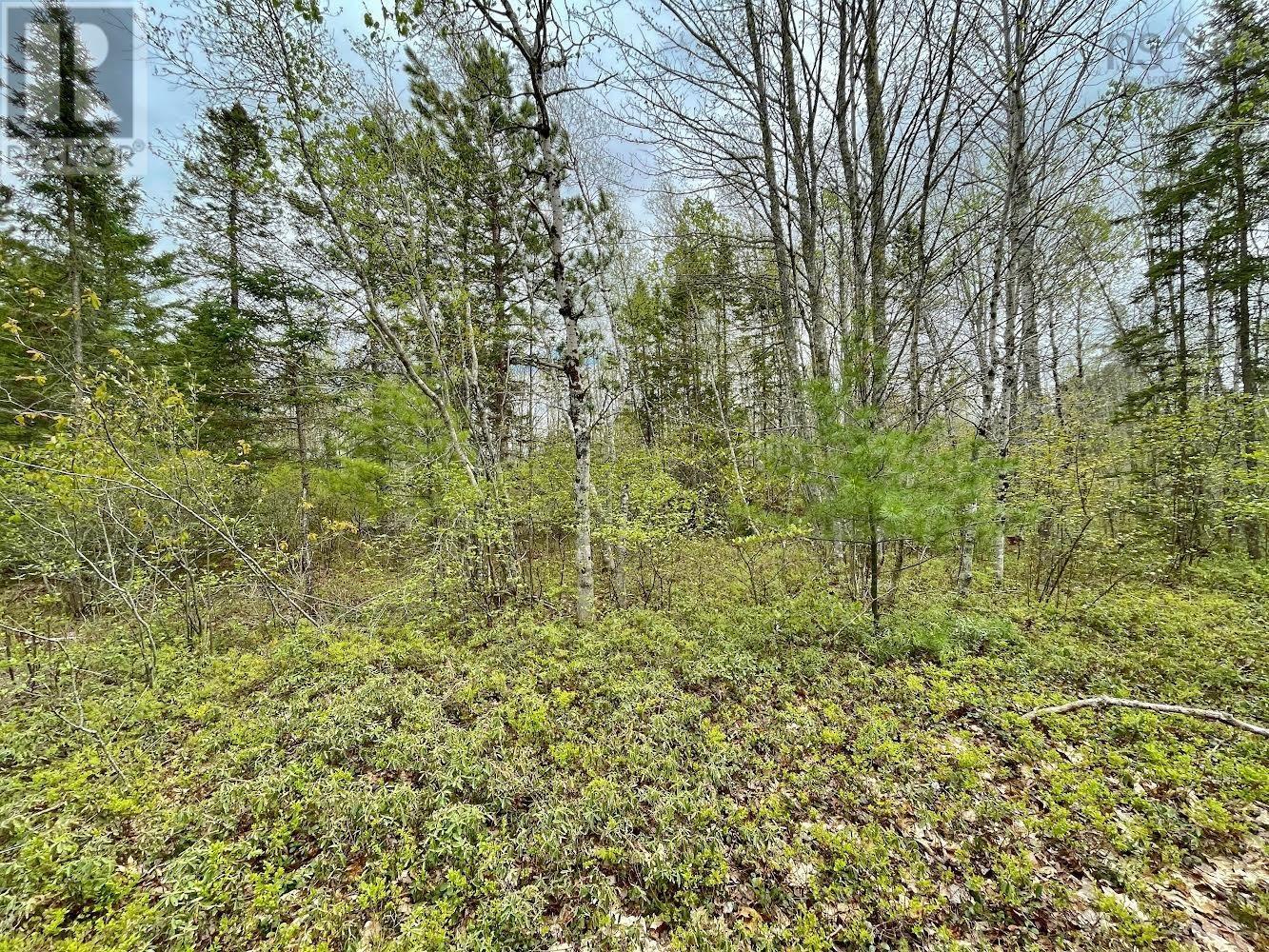Lot Highway 201, South Farmington, Nova Scotia  B0P 1W0 - Photo 6 - 202505728