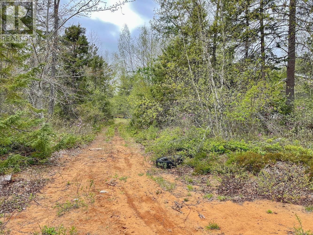 Lot Highway 201, South Farmington, Nova Scotia  B0P 1W0 - Photo 7 - 202505728