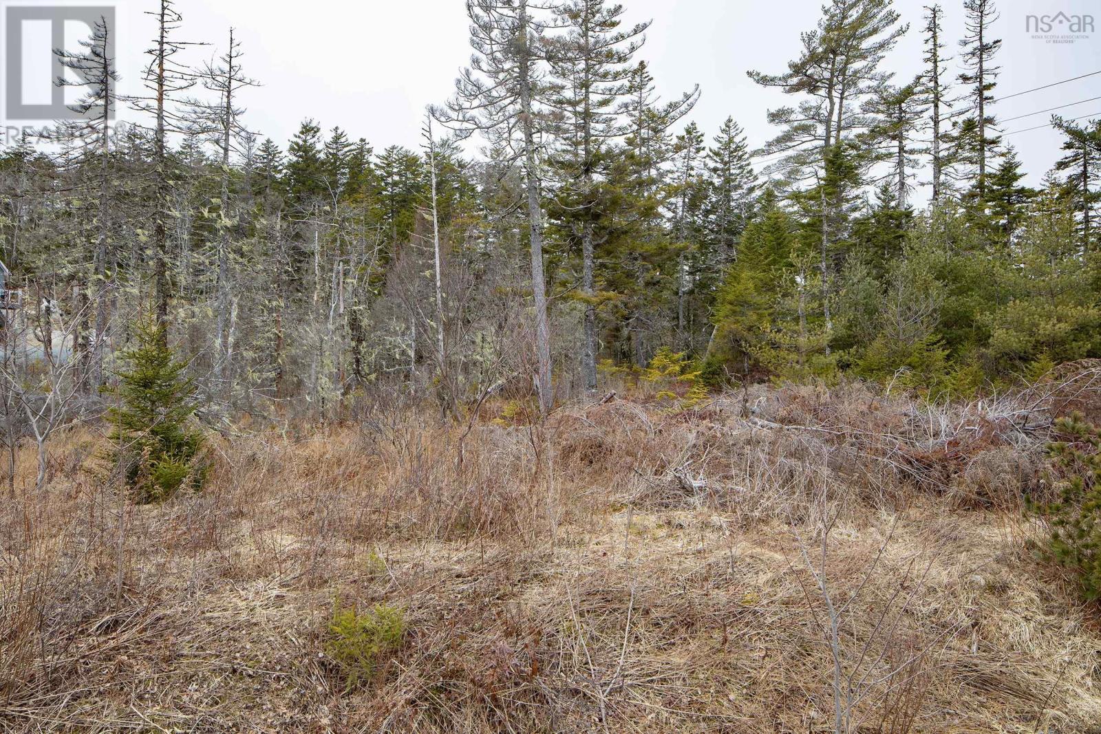 270 Oceanstone Drive, Halifax, Nova Scotia  B3Z 0A8 - Photo 3 - 202505795
