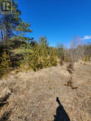 0 Slater Street, Hamilton Township, Ontario  K9A 4J9 - Photo 3 - X12041229