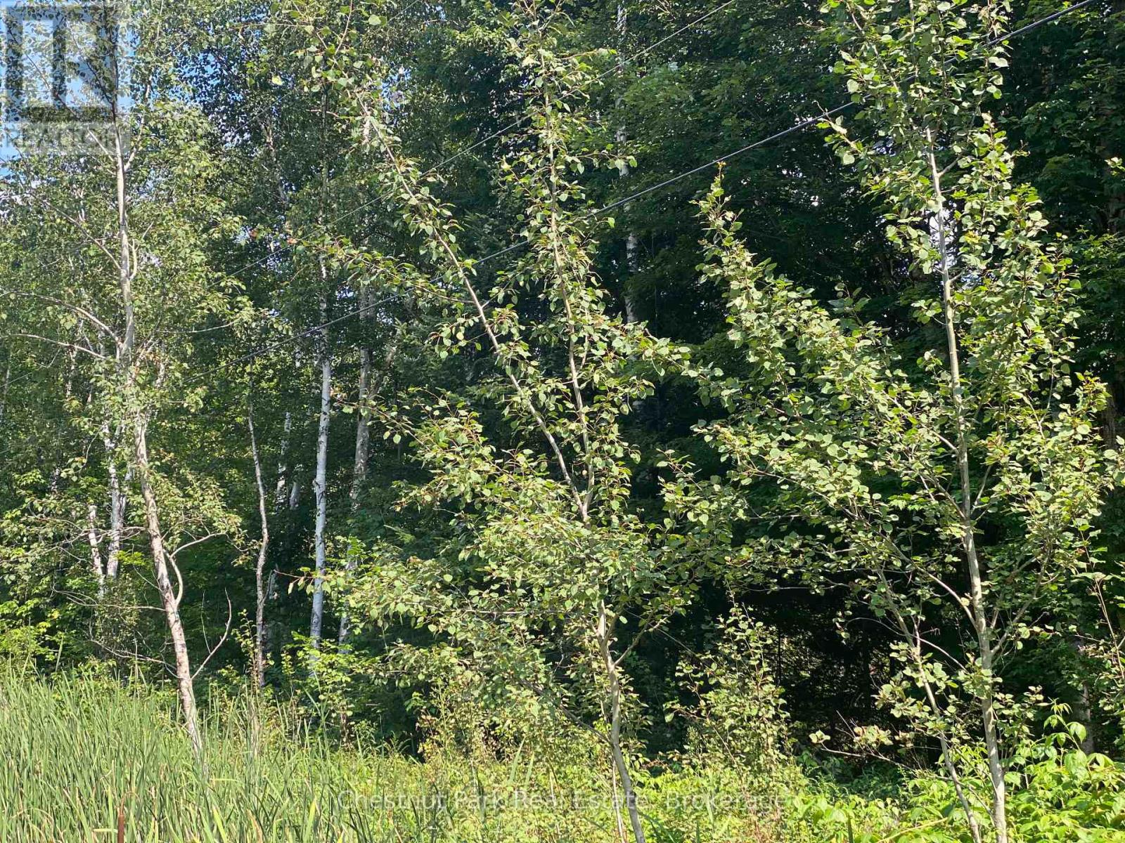 N/a 117 E, Lake Of Bays, Ontario  P0B 1A0 - Photo 2 - X12041237