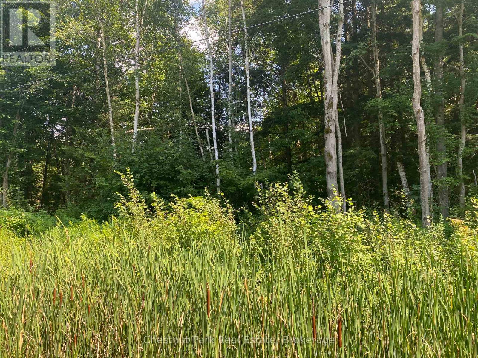 N/a 117 E, Lake Of Bays, Ontario  P0B 1A0 - Photo 3 - X12041237