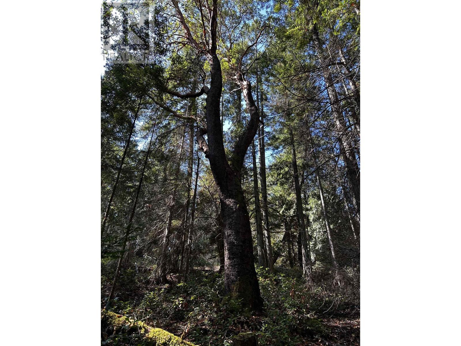 762 Ridge Road, Galiano Island, British Columbia  V0N 1P0 - Photo 24 - R2813828