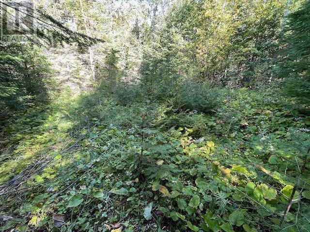 Lot 16 Soapstone Point Rd, Wabigoon, Ontario  P0V 2W0 - Photo 3 - TB241530