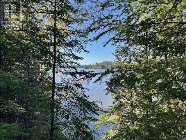 Lot 16 Soapstone Point Rd, Wabigoon, Ontario  P0V 2W0 - Photo 5 - TB241530