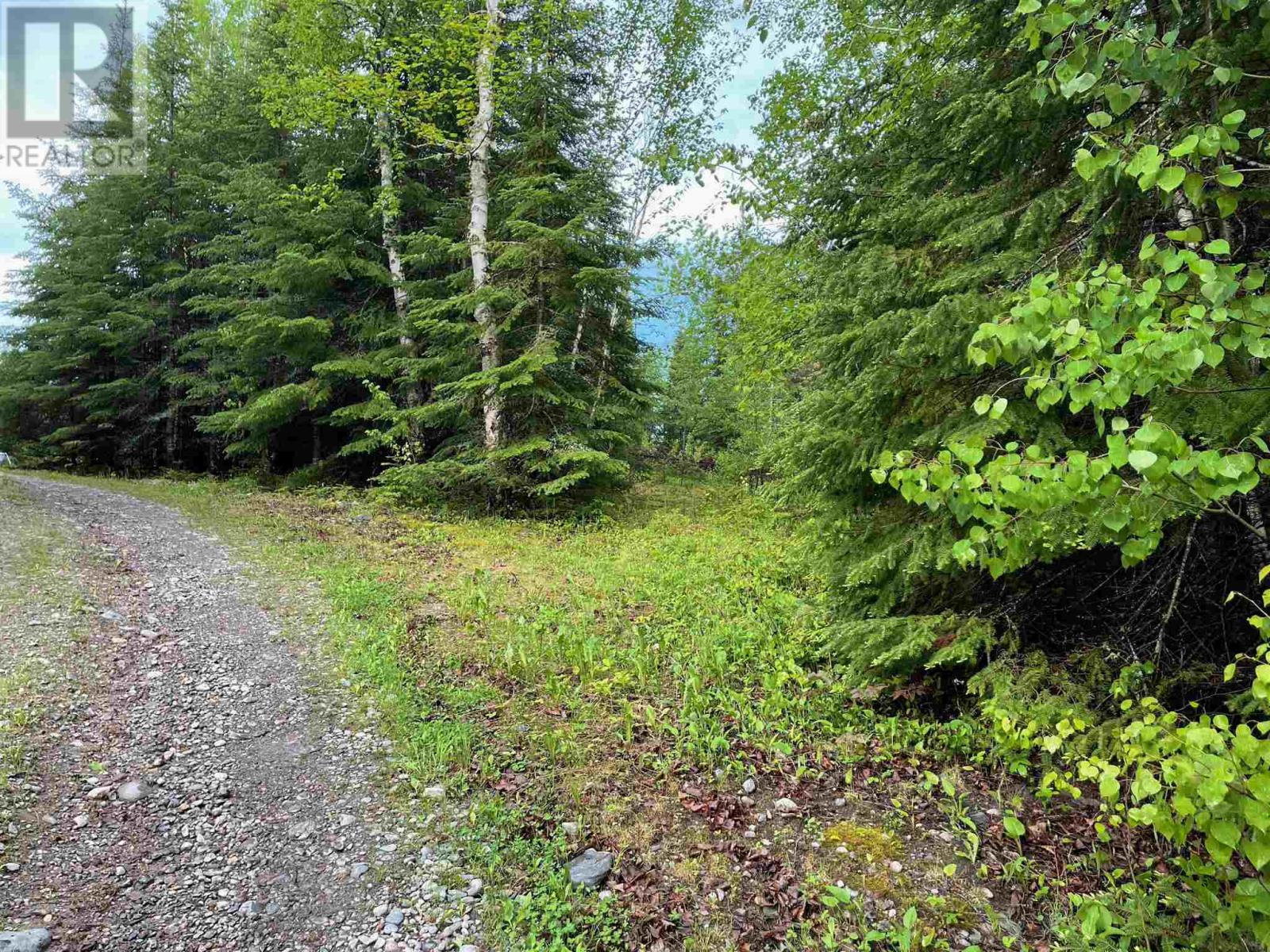 Lot 16 Soapstone Point Rd, Wabigoon, Ontario  P0V 2W0 - Photo 9 - TB241530