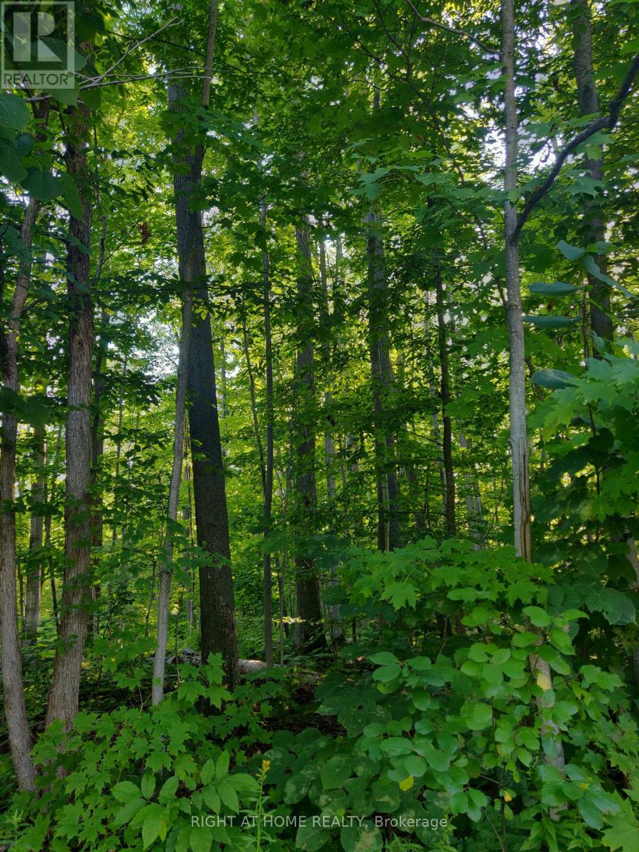 68 Wozniak Road, Penetanguishene, Ontario  L9M 1W5 - Photo 3 - S9417667
