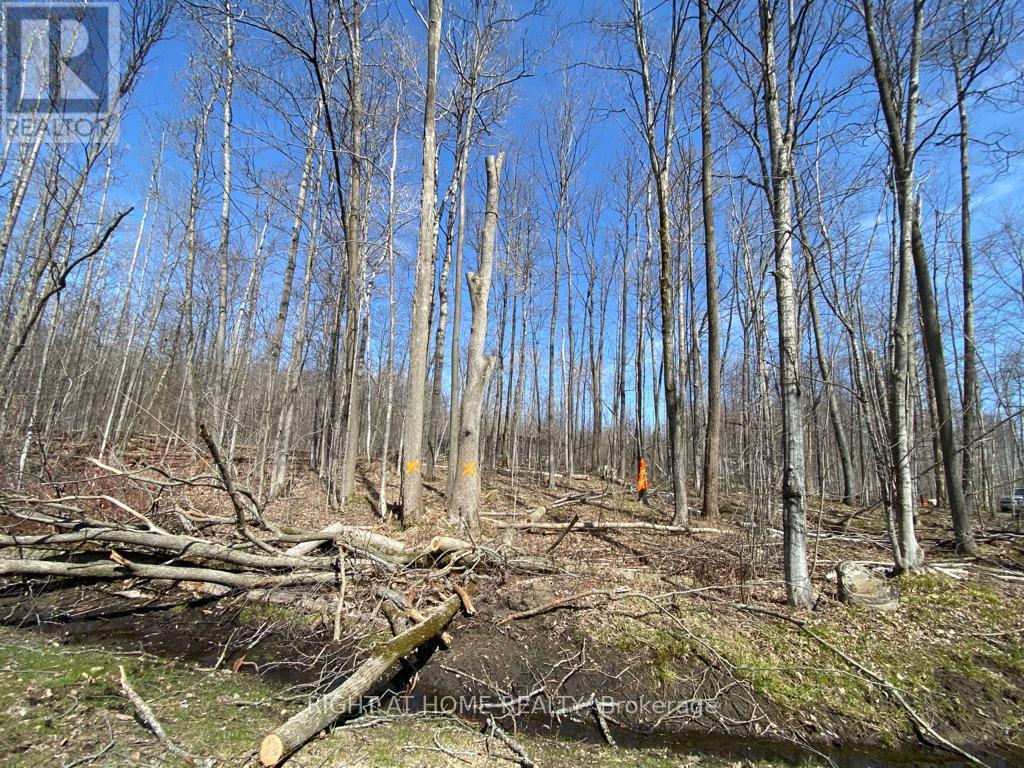 68 Wozniak Road, Penetanguishene, Ontario  L9M 1W5 - Photo 4 - S9417667