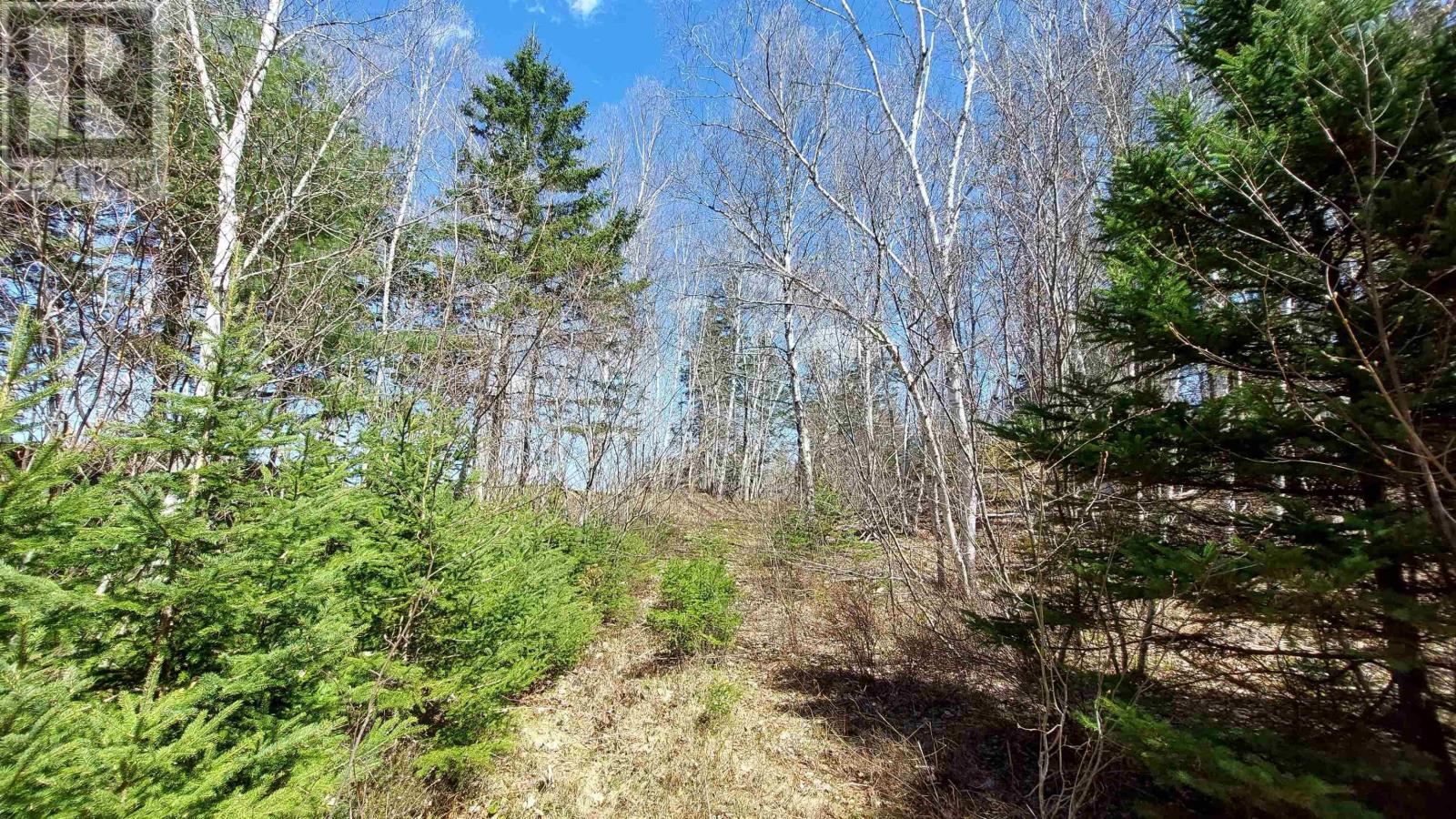Lot 21a Jonathan R Bouman Ln, Evanston, Nova Scotia  B0E 1J0 - Photo 17 - 202505806