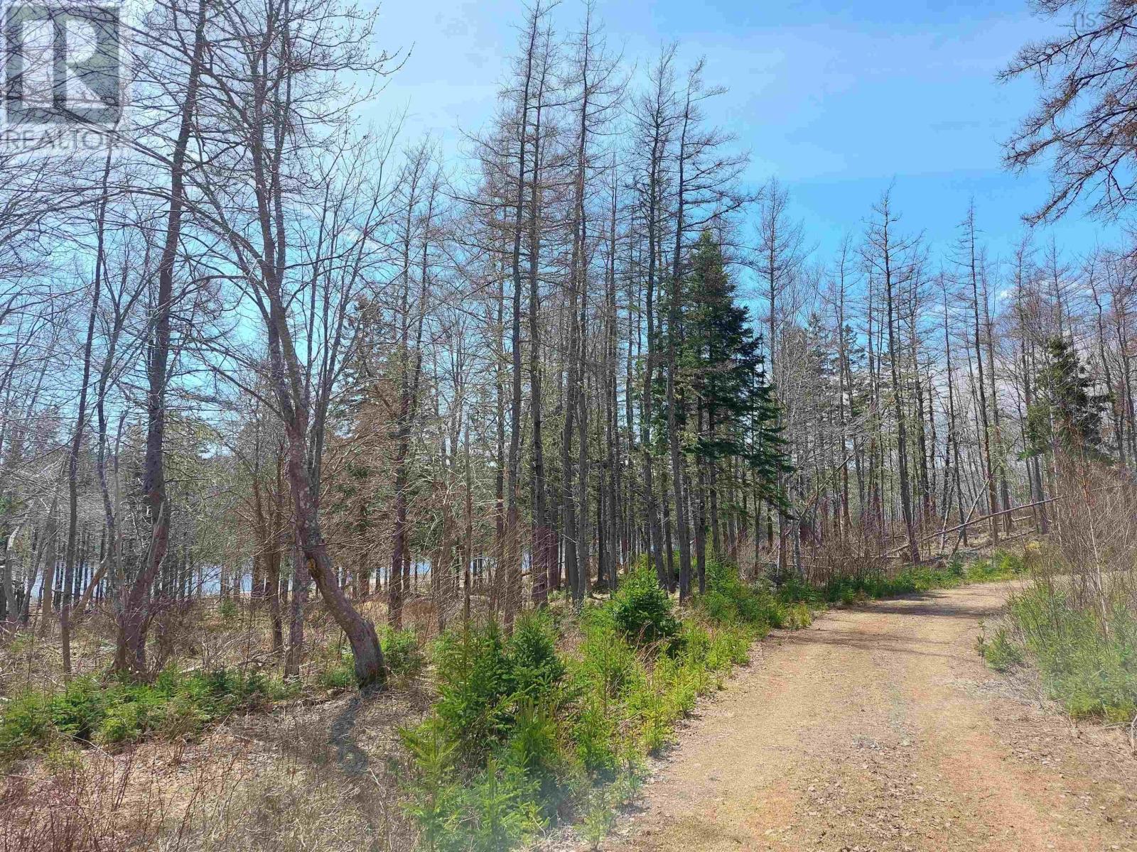 Lot 21a Jonathan R Bouman Ln, Evanston, Nova Scotia  B0E 1J0 - Photo 20 - 202505806