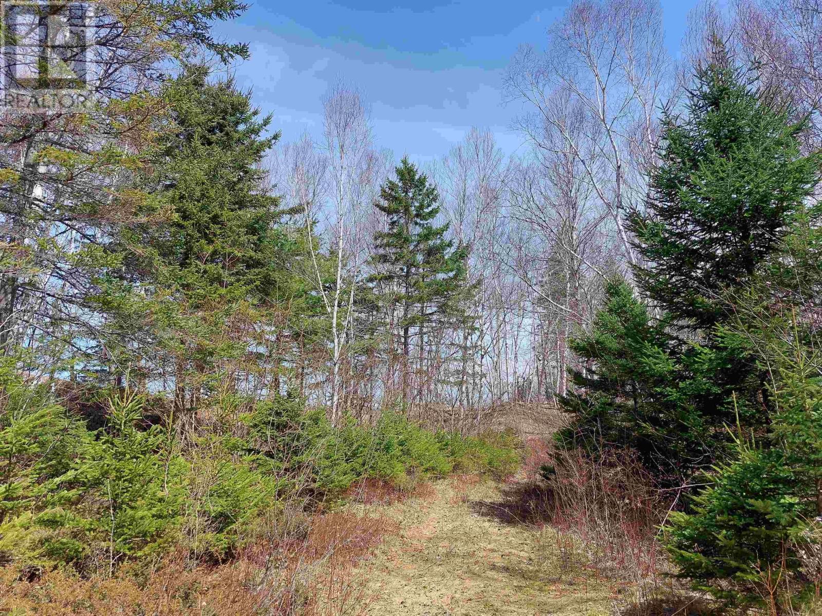 Lot 21a Jonathan R Bouman Ln, Evanston, Nova Scotia  B0E 1J0 - Photo 23 - 202505806