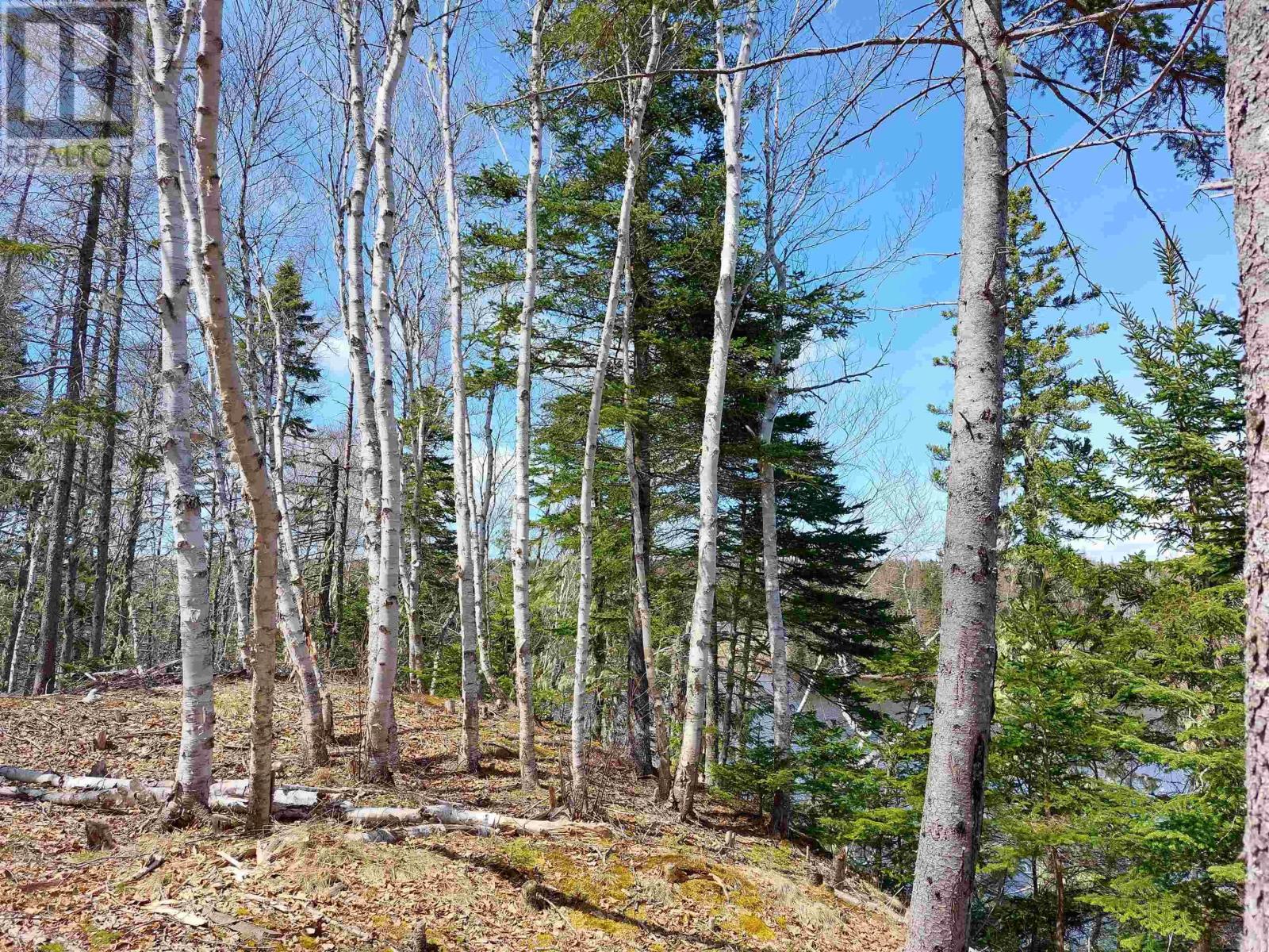 Lot 21a Jonathan R Bouman Ln, Evanston, Nova Scotia  B0E 1J0 - Photo 24 - 202505806