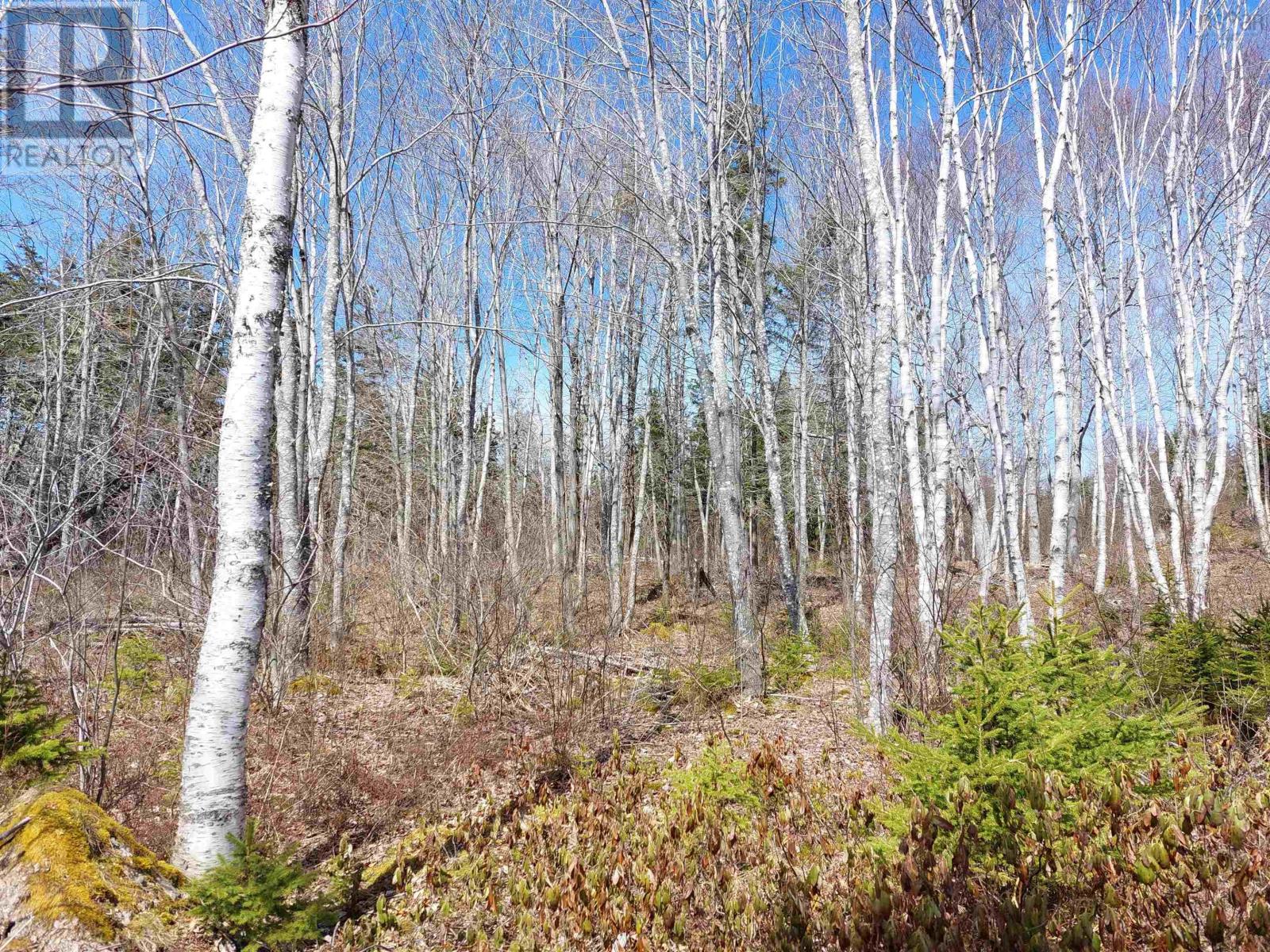 Lot 21a Jonathan R Bouman Ln, Evanston, Nova Scotia  B0E 1J0 - Photo 28 - 202505806