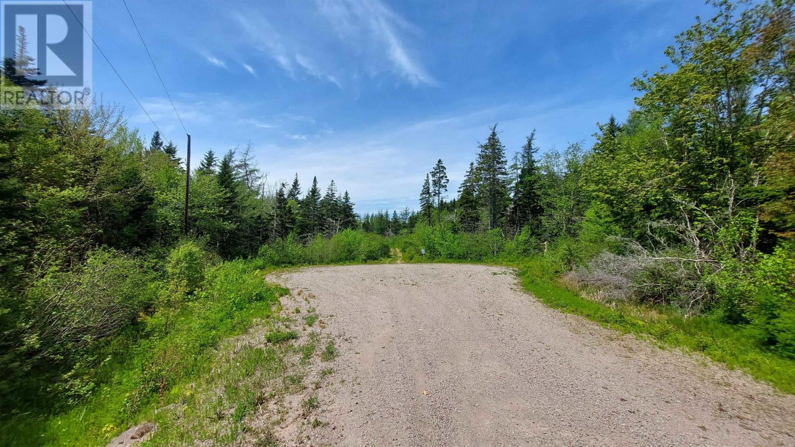 Lot 21a Jonathan R Bouman Ln, Evanston, Nova Scotia  B0E 1J0 - Photo 5 - 202505806