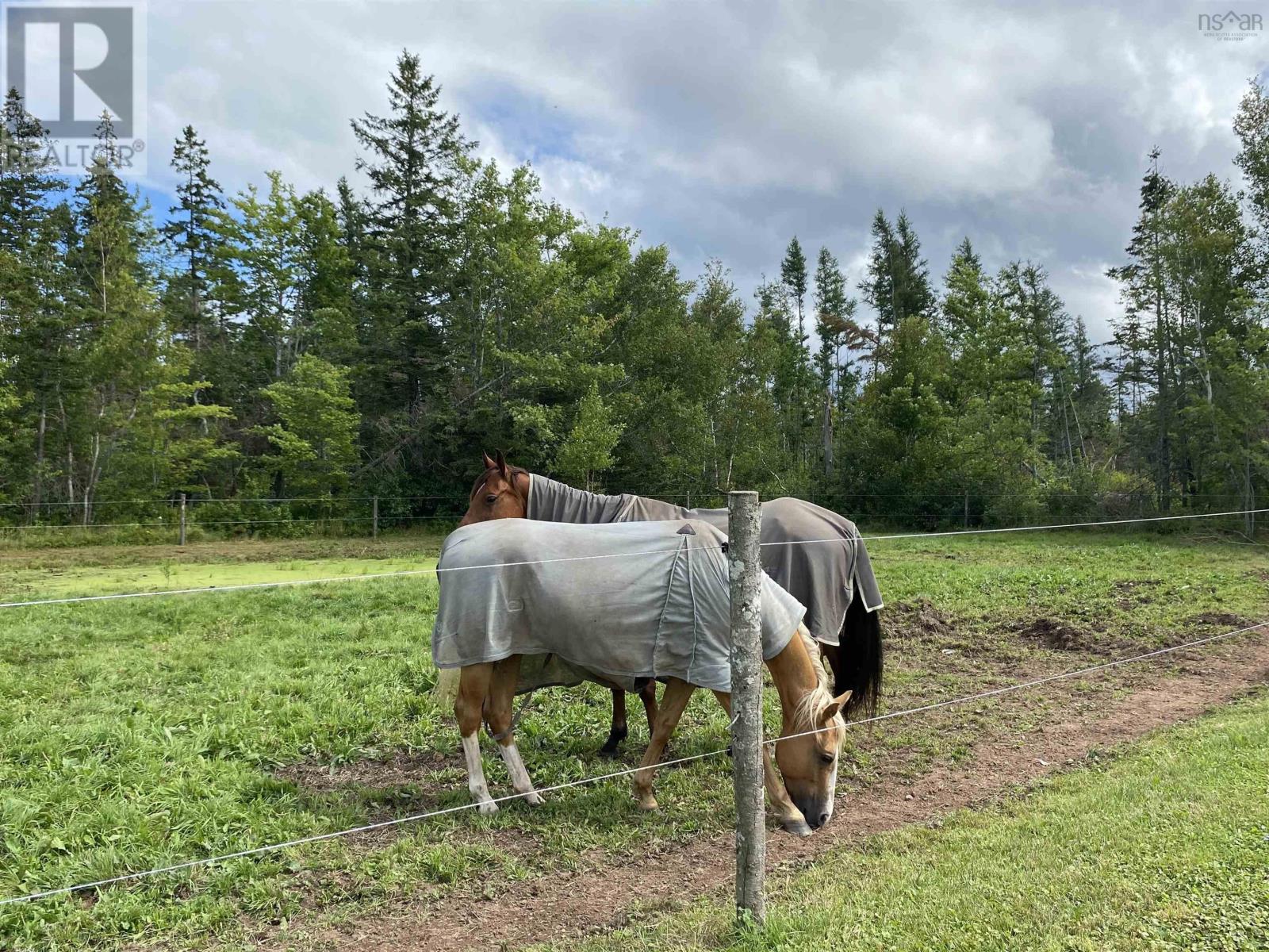758 Mountain Road, River John, Nova Scotia  B0K 1N0 - Photo 49 - 202505808