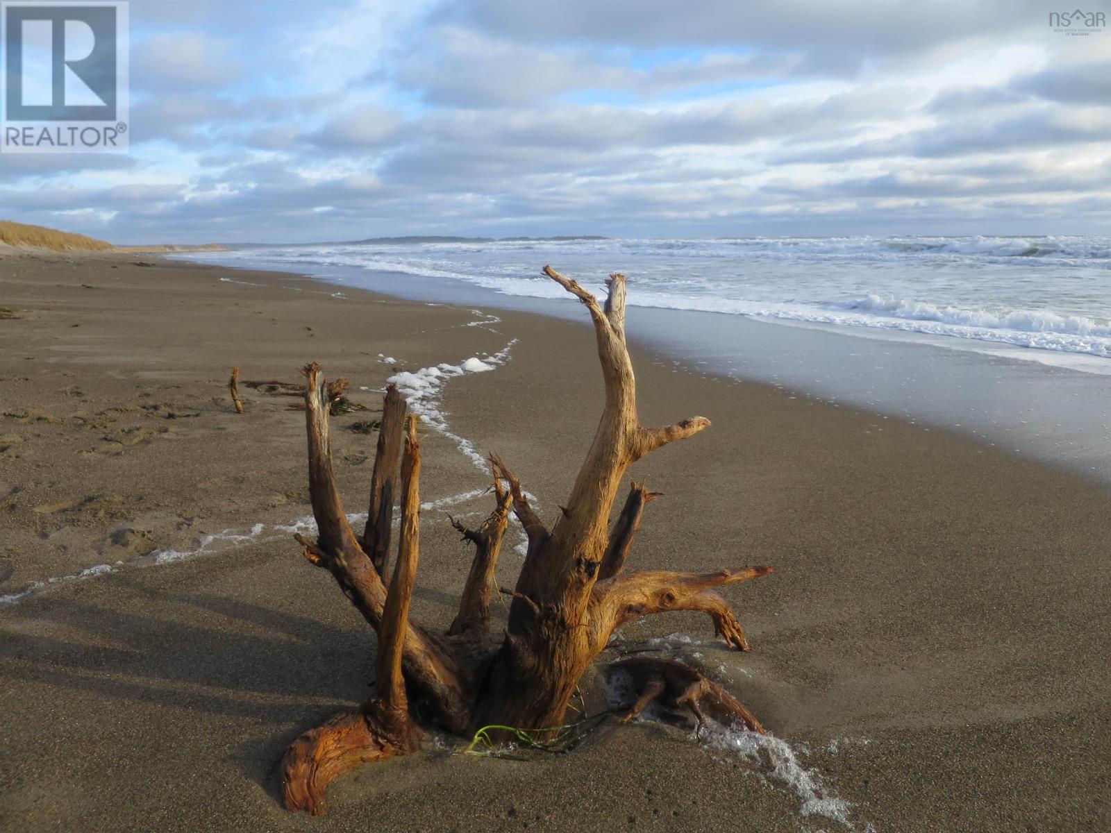 1375 East Petpeswick Road, East Petpeswick, Nova Scotia  B0J 2L0 - Photo 50 - 202505361