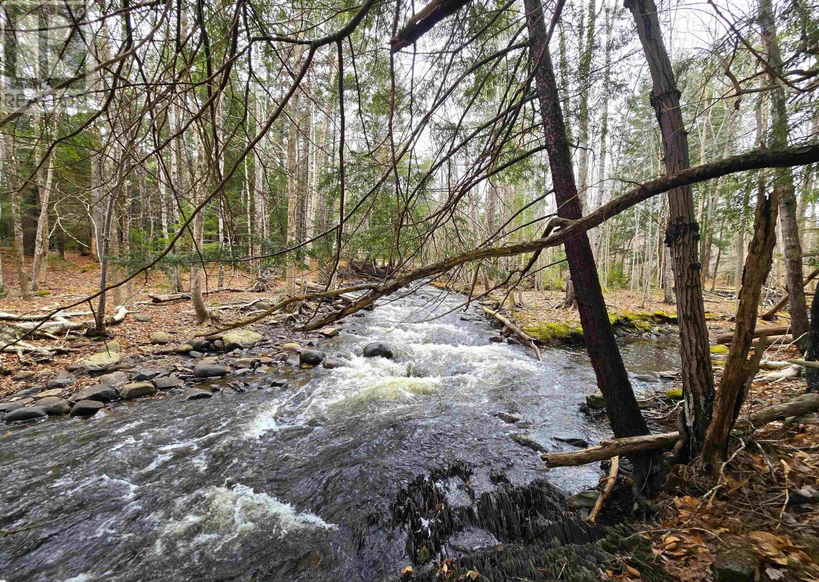 394 Main Street, Mahone Bay, Nova Scotia  B0J 2E0 - Photo 6 - 202505814