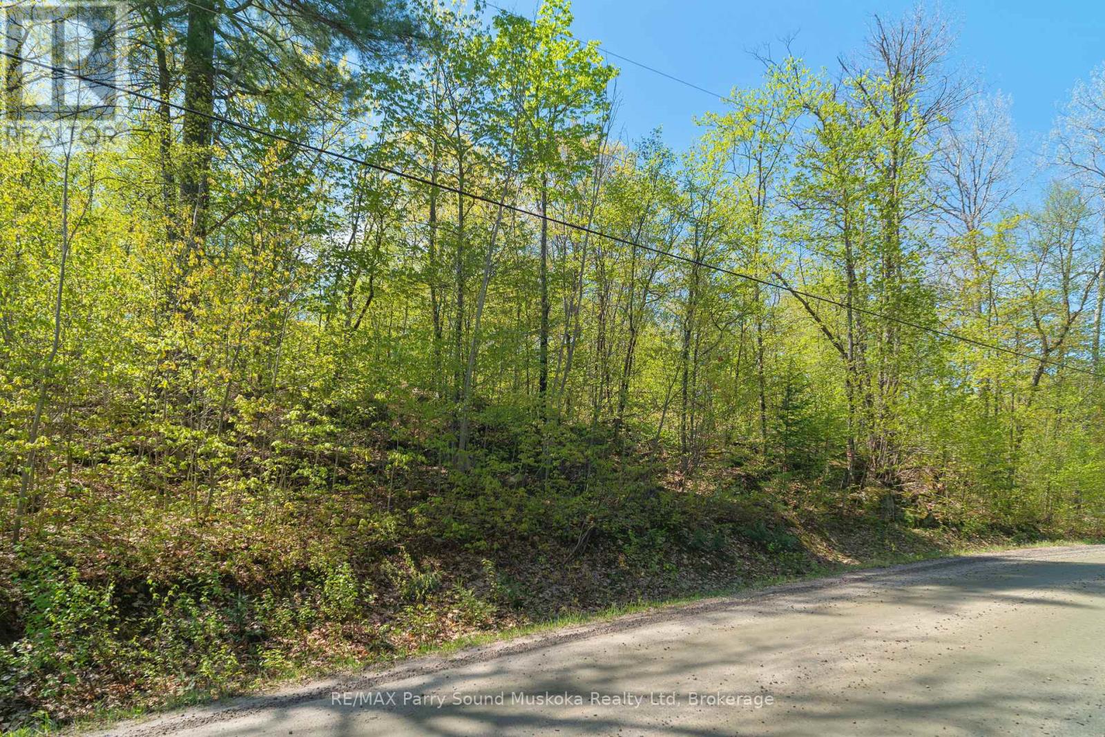 1835 Lorimer Lake Road N, Whitestone (Hagerman), Ontario  P2A 1G0 - Photo 11 - X12041800