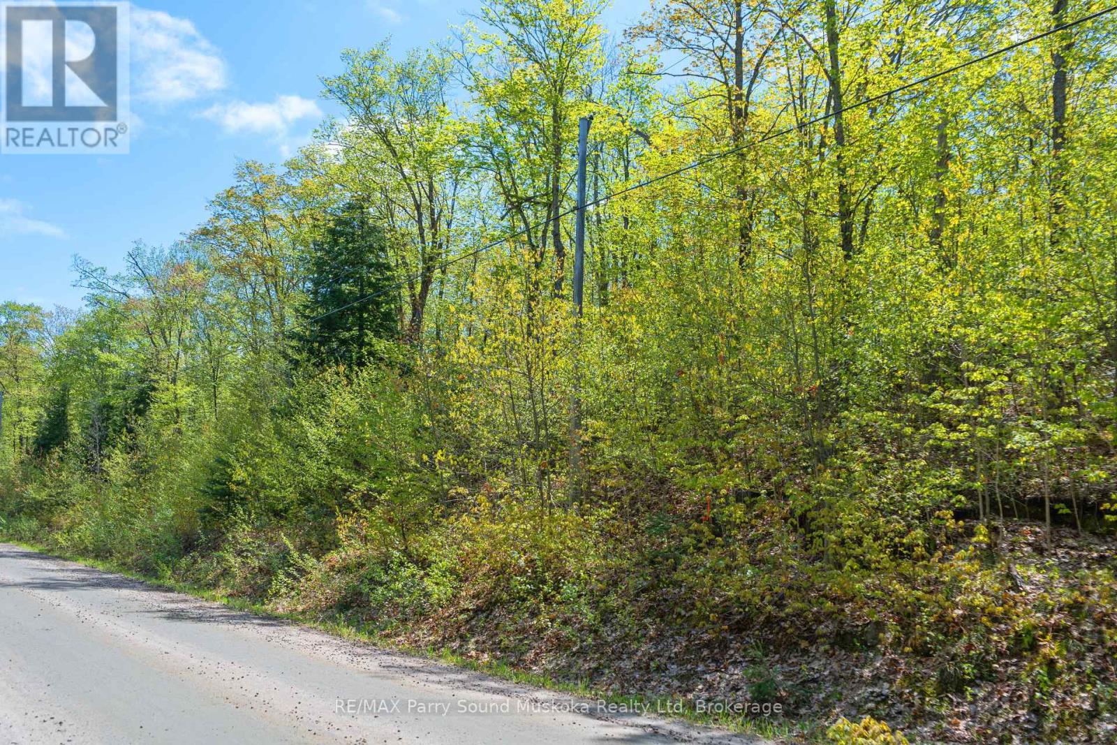 1835 Lorimer Lake Road N, Whitestone (Hagerman), Ontario  P2A 1G0 - Photo 8 - X12041800