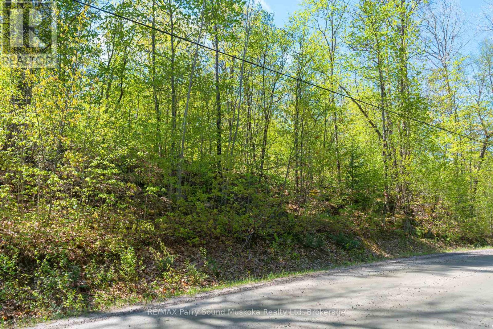 1835 Lorimer Lake Road N, Whitestone (Hagerman), Ontario  P2A 1G0 - Photo 9 - X12041800