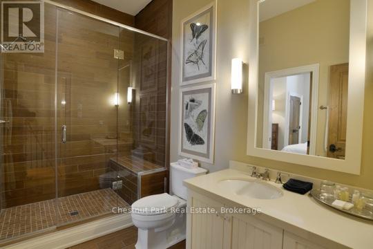 C5 12sc - 1003 Matthews Drive, Muskoka Lakes, Ontario  P0B 1P0 - Photo 25 - X12041835