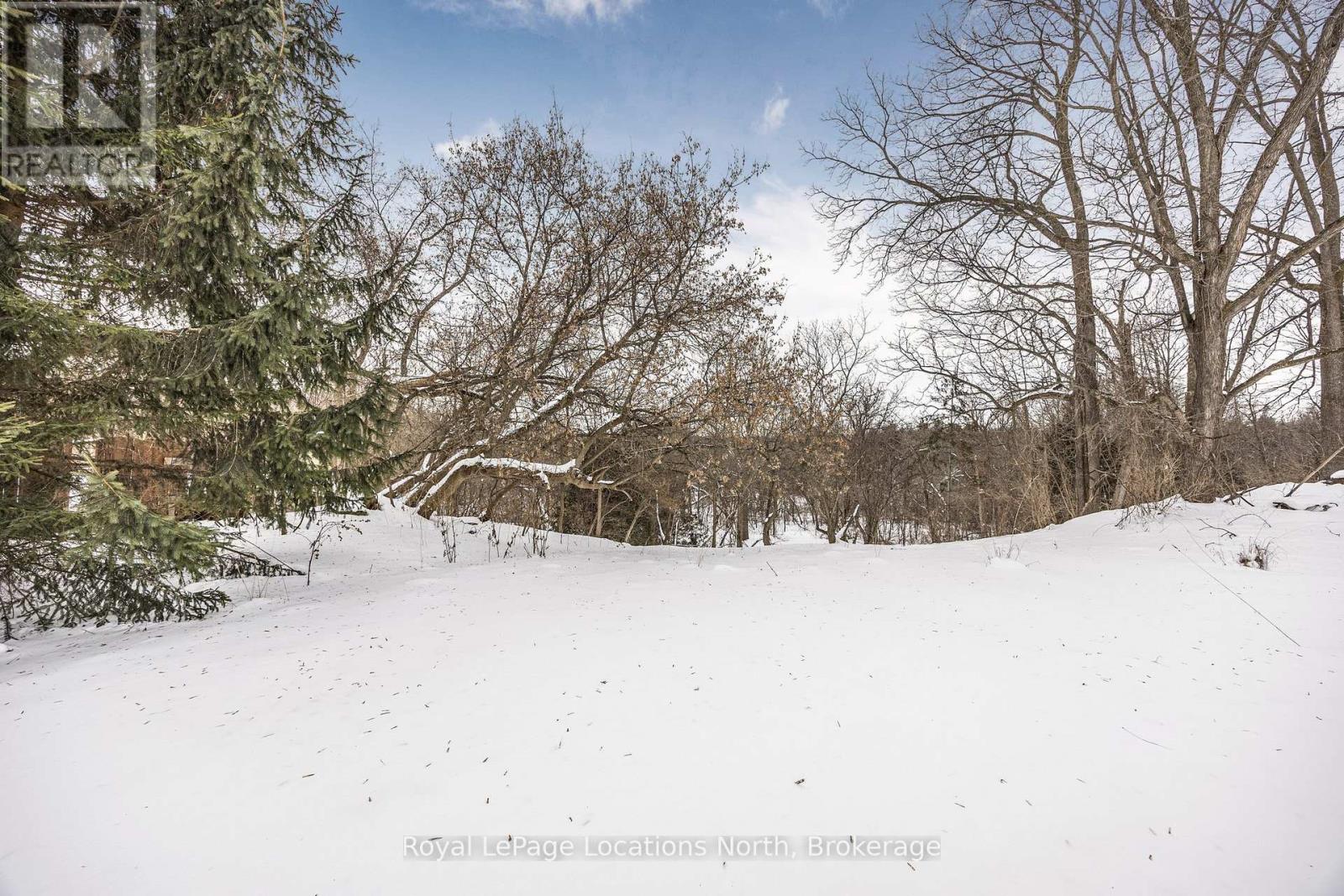 148 Marsh Street, Blue Mountains, Ontario  N0H 1J0 - Photo 35 - X11937393