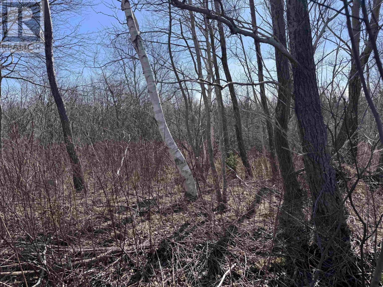 Daley Road, New Victoria, Nova Scotia  B1H 4X8 - Photo 10 - 202505818