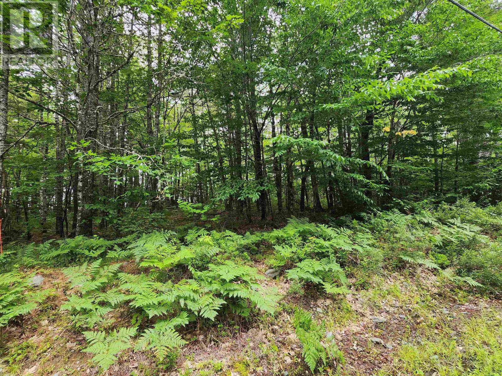 Lot 73 Baker Point Road, Molega, Nova Scotia  B0T 1X0 - Photo 10 - 202505825