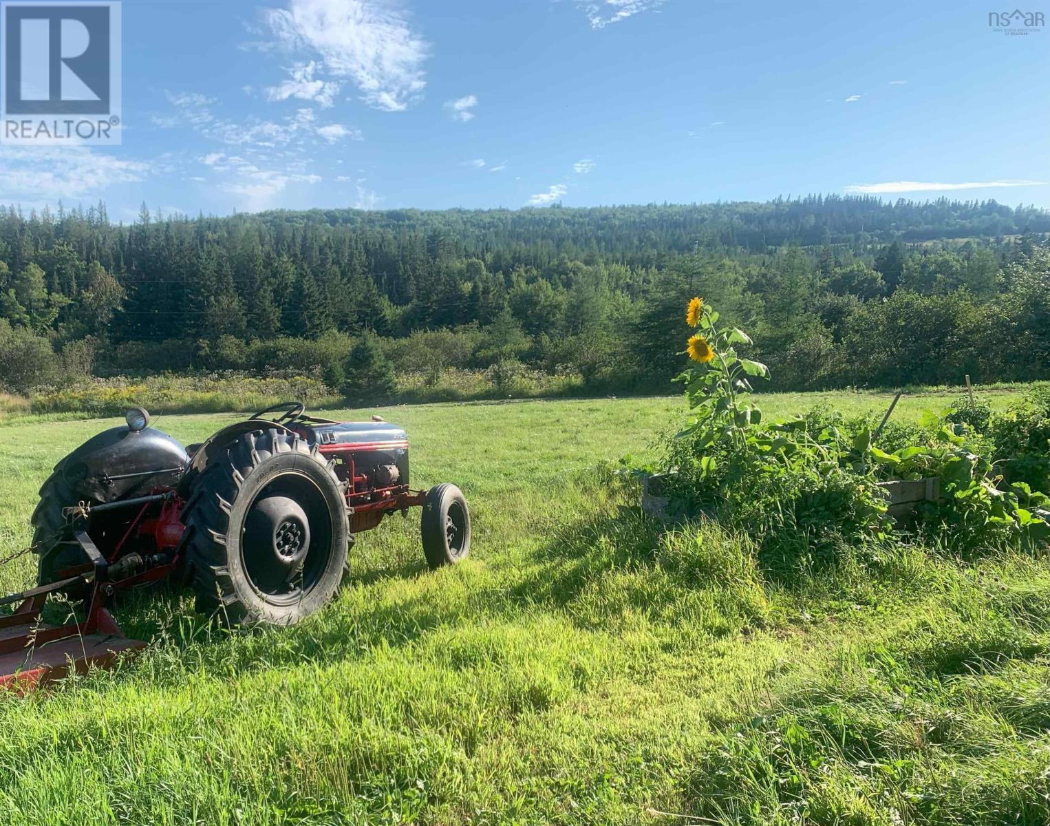 21 Glencoe Road, Glencoe Mills, Nova Scotia  B0E 1X0 - Photo 29 - 202505828