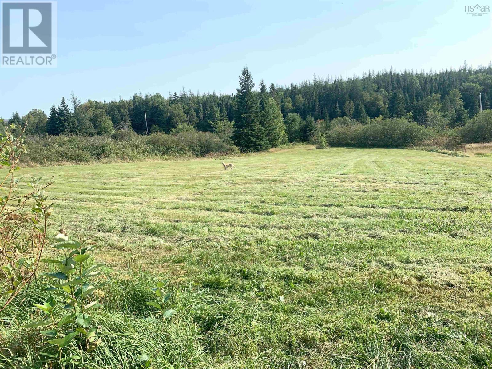 21 Glencoe Road, Glencoe Mills, Nova Scotia  B0E 1X0 - Photo 31 - 202505828