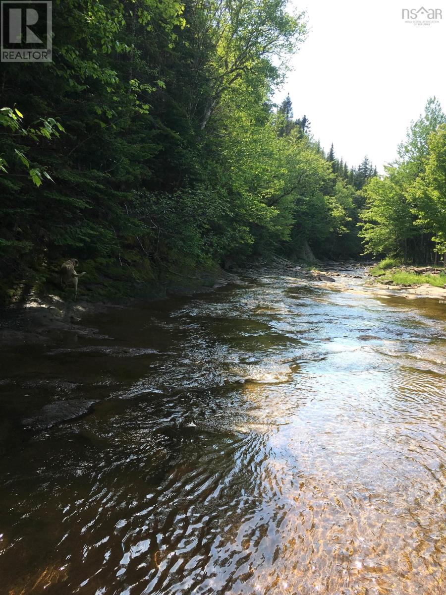 21 Glencoe Road, Glencoe Mills, Nova Scotia  B0E 1X0 - Photo 38 - 202505828