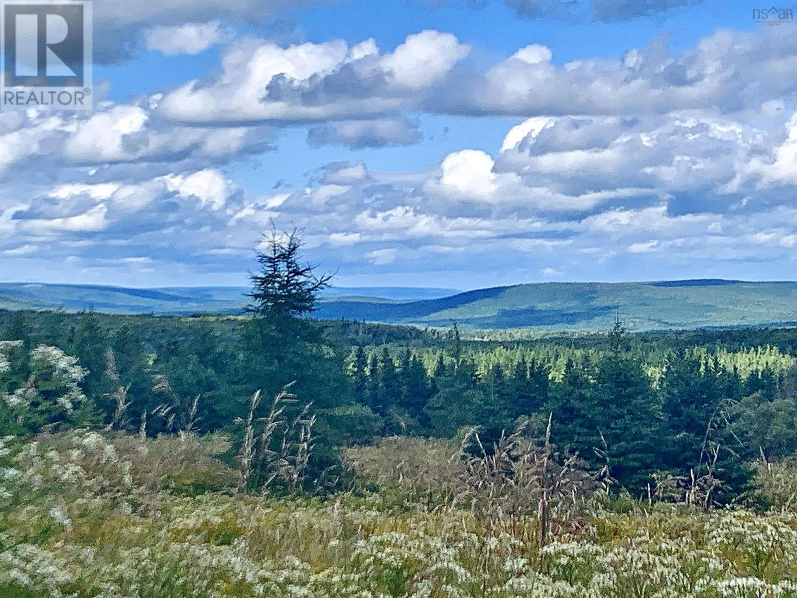 21 Glencoe Road, Glencoe Mills, Nova Scotia  B0E 1X0 - Photo 40 - 202505828