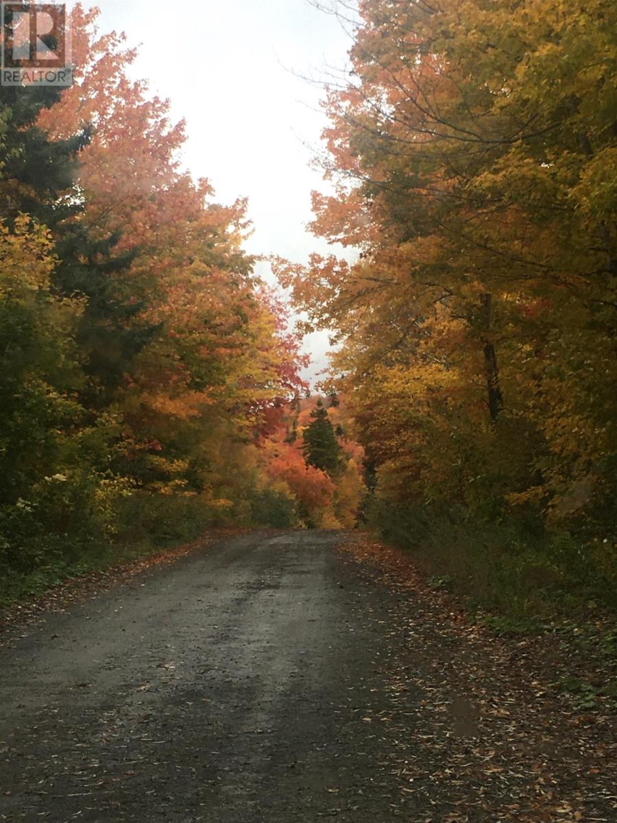 21 Glencoe Road, Glencoe Mills, Nova Scotia  B0E 1X0 - Photo 41 - 202505828
