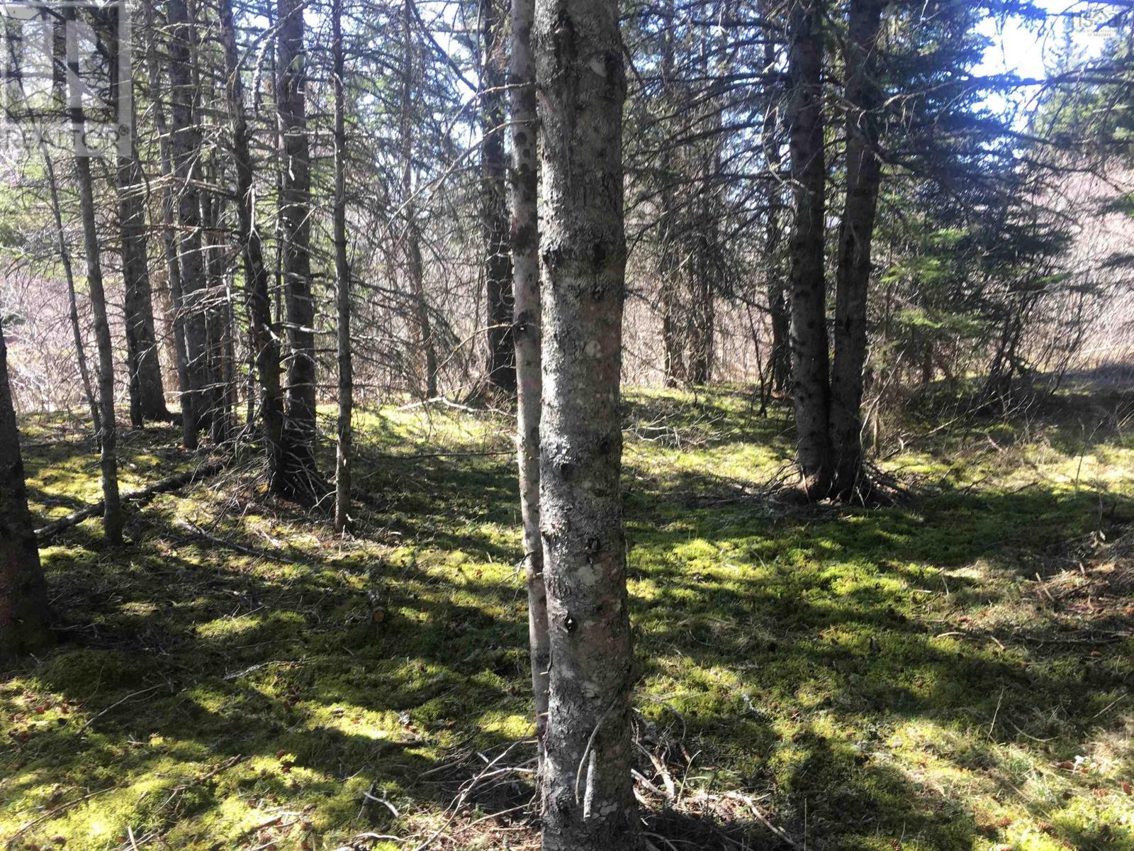 21 Glencoe Road, Glencoe Mills, Nova Scotia  B0E 1X0 - Photo 42 - 202505828