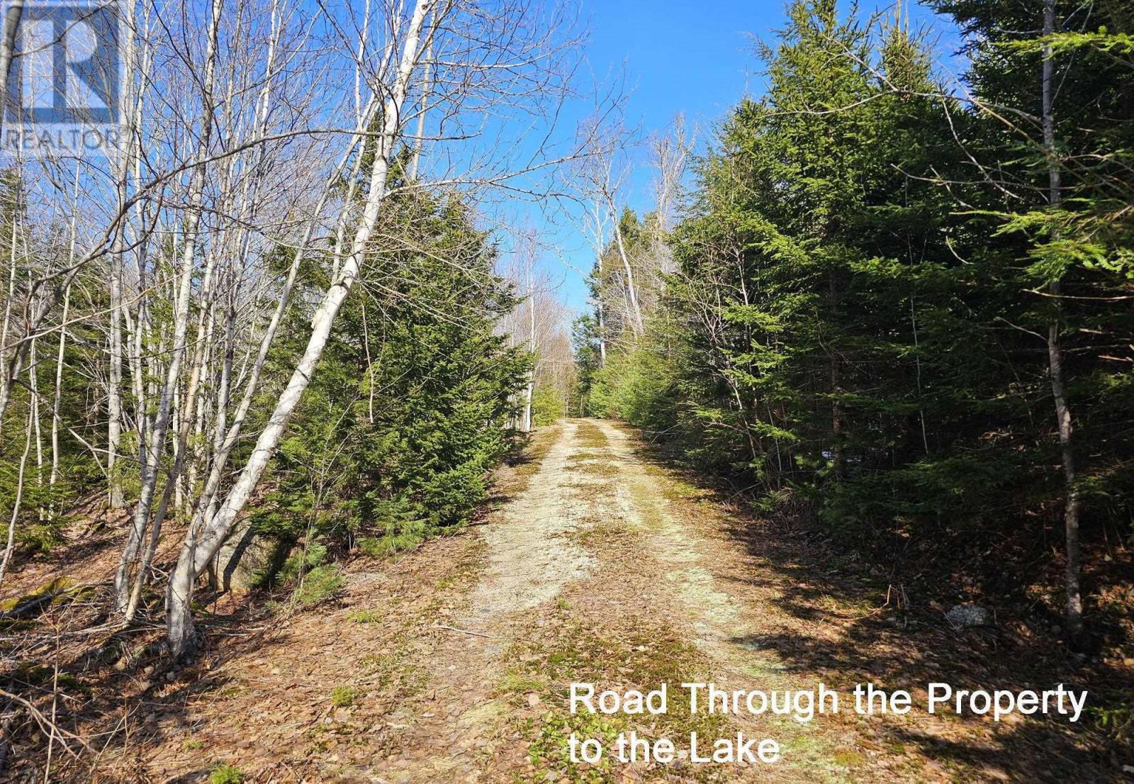 7719 Highway 8, Graywood, Nova Scotia  B0S 1A0 - Photo 10 - 202505839