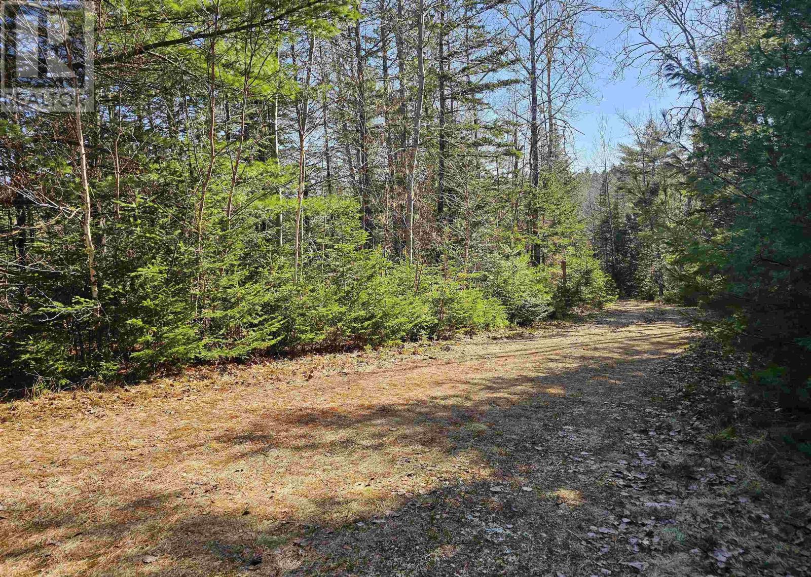 7719 Highway 8, Graywood, Nova Scotia  B0S 1A0 - Photo 11 - 202505839