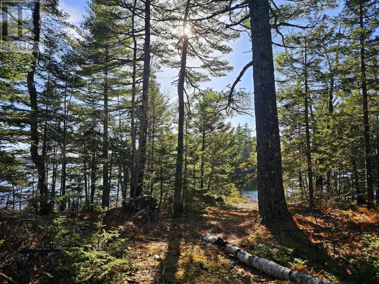 7719 Highway 8, Graywood, Nova Scotia  B0S 1A0 - Photo 12 - 202505839