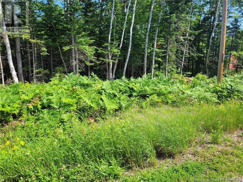 2.32 Rio Grande Street, Rio Grande, New Brunswick  E2A 6Z1 - Photo 4 - NB114813