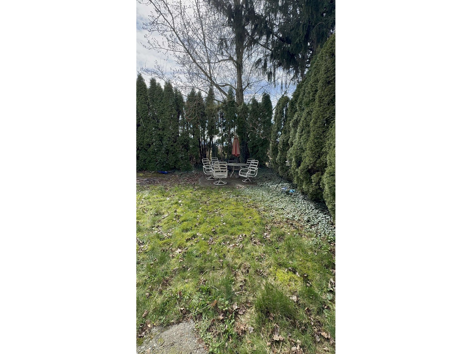1414 Kipling Street, Abbotsford, British Columbia  V2S 6J9 - Photo 15 - R2981222